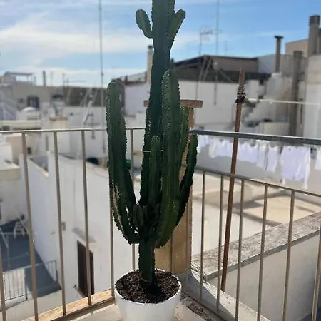 Casa Mignano Daire Gallipoli